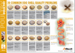 Egg Shell Quality.png