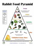 Rabbit_Food_Pyramid-page-001.jpg